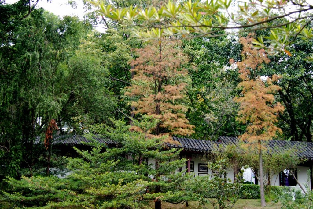 保持著昔日中國古典庭院風的九龍寨城公園與紅葉互相輝映。圖片來源：Ulifestyle blog@Tony Chan